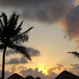 Meet your Posher, Theresa